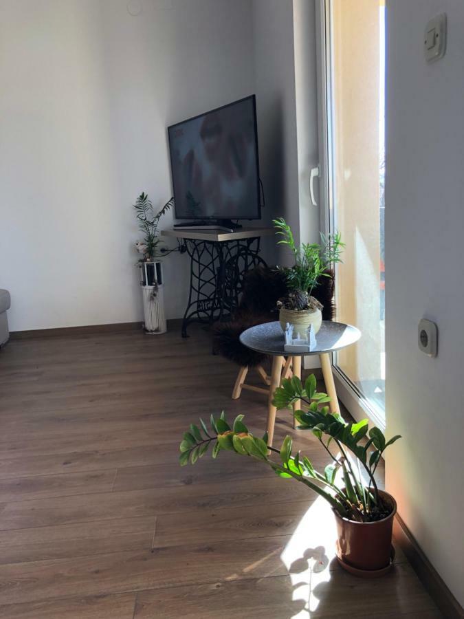 Apartment Viveniti Klenovica Buitenkant foto